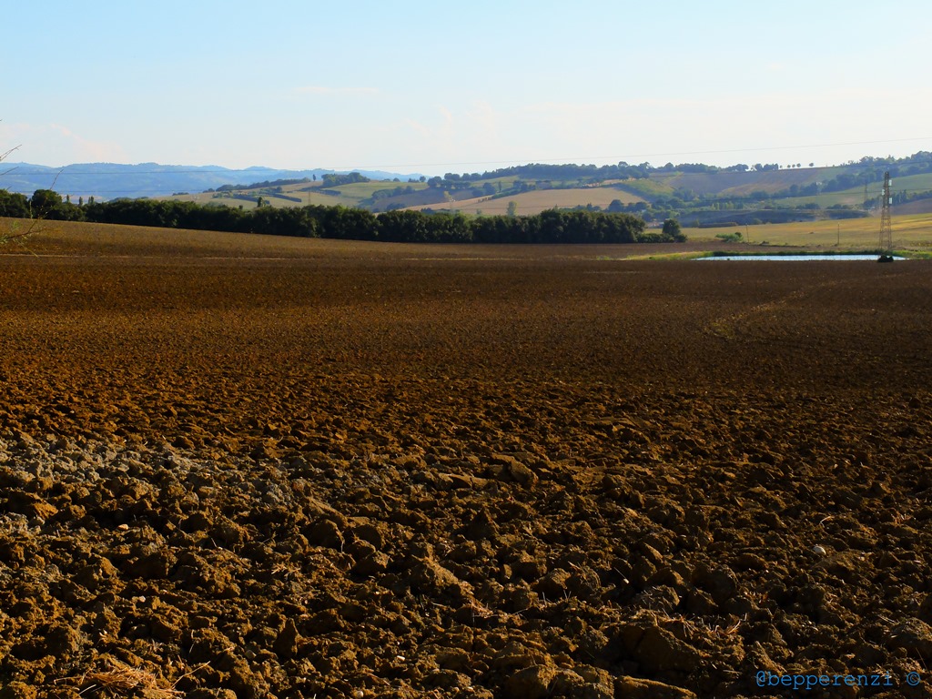 Terra a Treponti