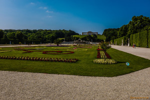 Vienna